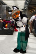 Eurofurence 25