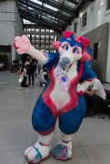 Eurofurence 25