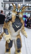 Eurofurence 25