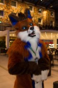 Eurofurence 25