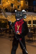 Eurofurence 25