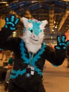 Eurofurence 25