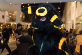 Eurofurence 25