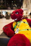 Eurofurence 25