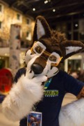 Eurofurence 25