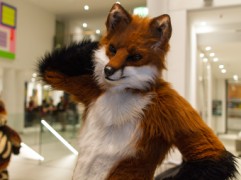 Eurofurence 25