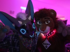 Eurofurence 25