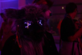 Eurofurence 25