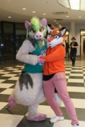 Eurofurence 25