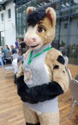 Eurofurence 26