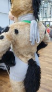 Eurofurence 26