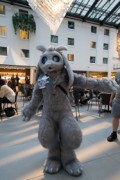 Eurofurence 26