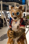 Eurofurence 26