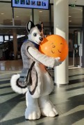 Eurofurence 26