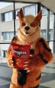 Eurofurence 26