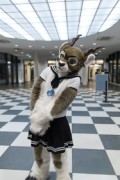 Eurofurence 26