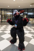 Eurofurence 26