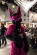 Eurofurence 26