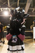 Eurofurence 26