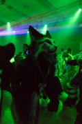 Eurofurence 26