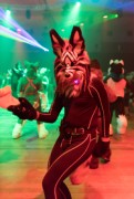 Eurofurence 26