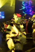 Eurofurence 26