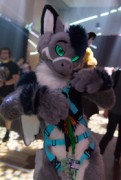 Eurofurence 26