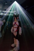 Eurofurence 26