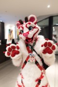 Eurofurence 26