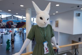 Eurofurence 26