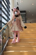 Eurofurence 26