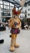 Eurofurence 26