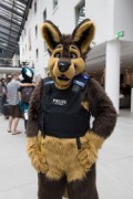 Eurofurence 26