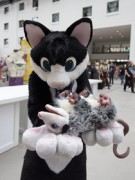 Eurofurence 26