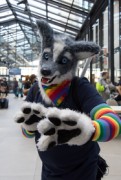 Eurofurence 26