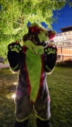 Eurofurence 27