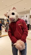 Eurofurence 27