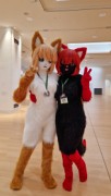 Eurofurence 27