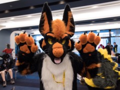 Eurofurence 27