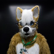 Eurofurence 27