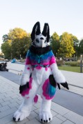 Eurofurence 27