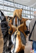 Eurofurence 27