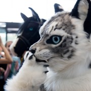 Eurofurence 27