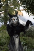 Eurofurence 27