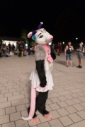 Eurofurence 27