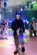 Eurofurence 27