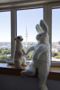 Eurofurence 27