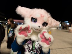 Eurofurence 27