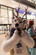 Eurofurence 27