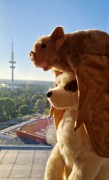 Eurofurence 27